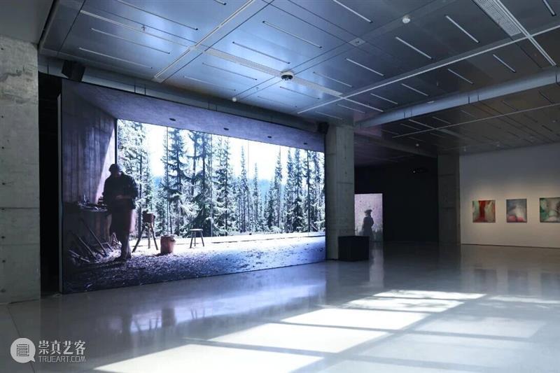 Cloud NOW | 展览作品「大卫·克拉耶博:木雕工与森林」 视频资讯 萃舍云集 崇真艺客